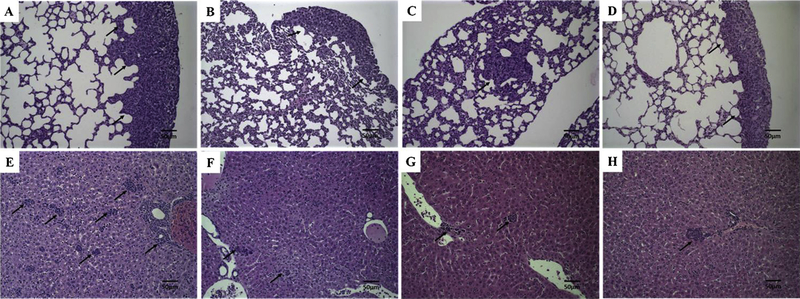 Fig. 9.