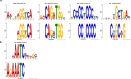 Figure 2—figure supplement 2.