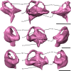 FIGURE 8