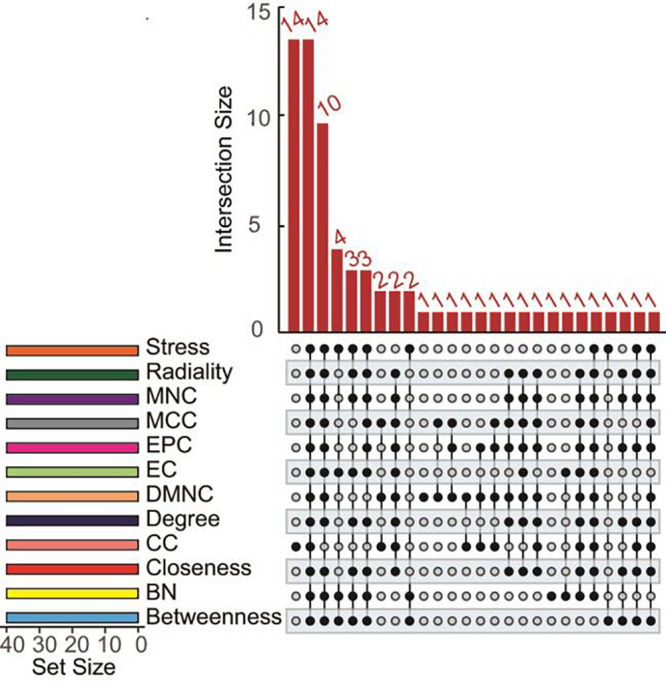 FIGURE 4