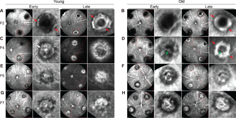 Figure 2.