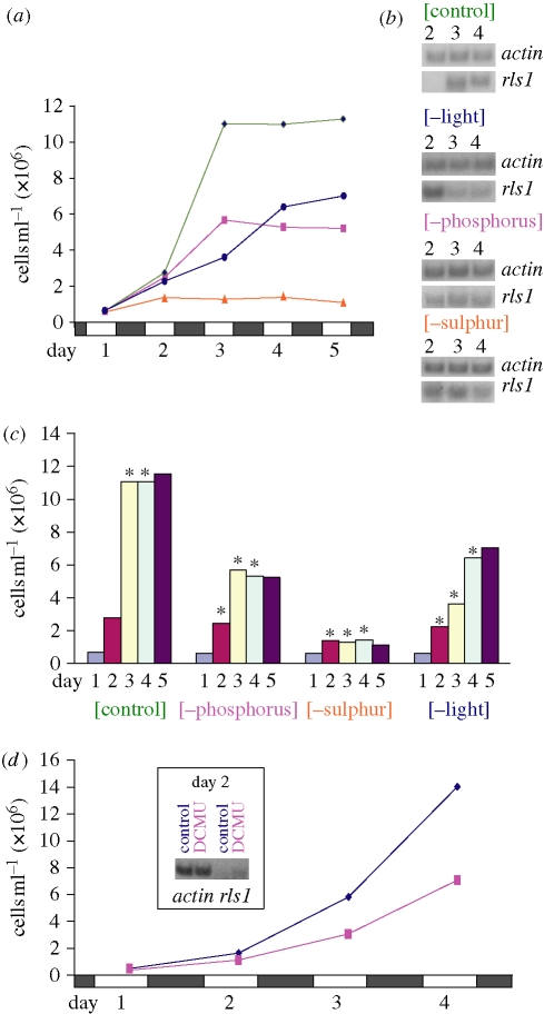 Figure 1.