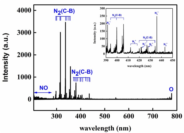 Figure 2