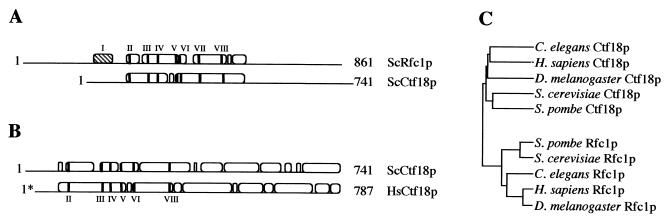 FIG. 8