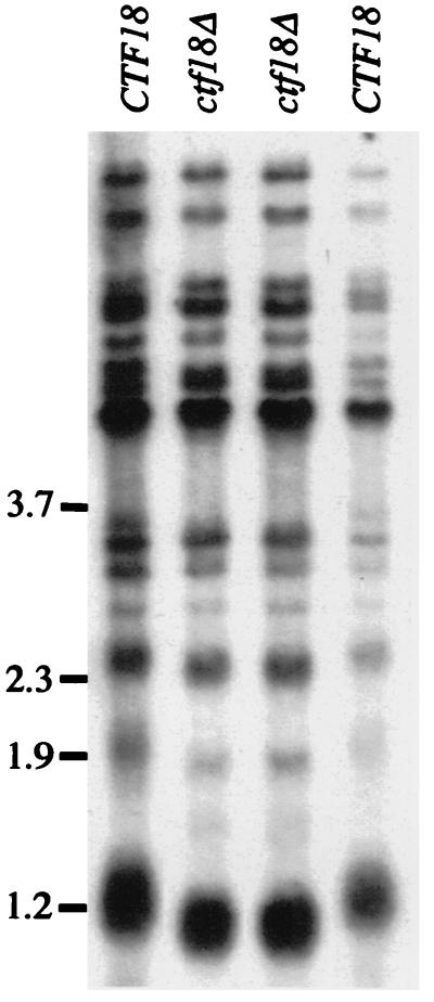 FIG. 7