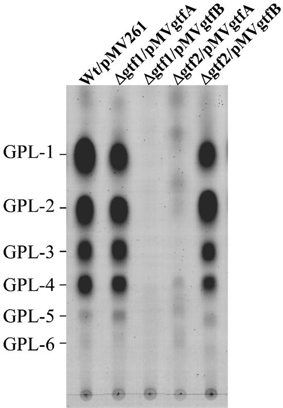 FIG. 8.