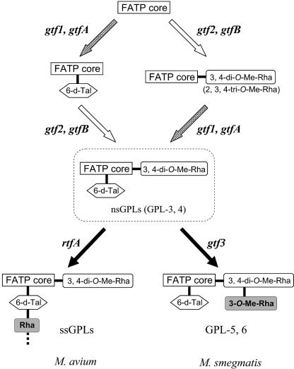 FIG. 9.