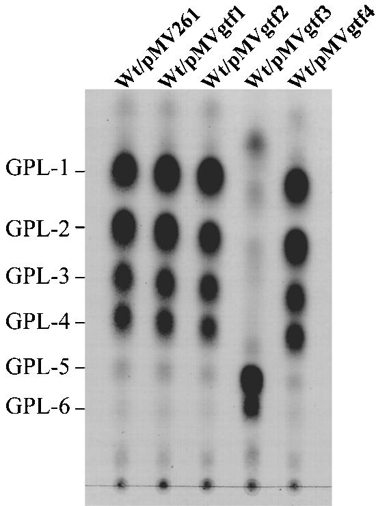 FIG. 7.