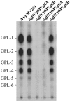 FIG. 8.