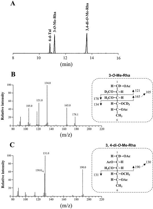 FIG. 5.