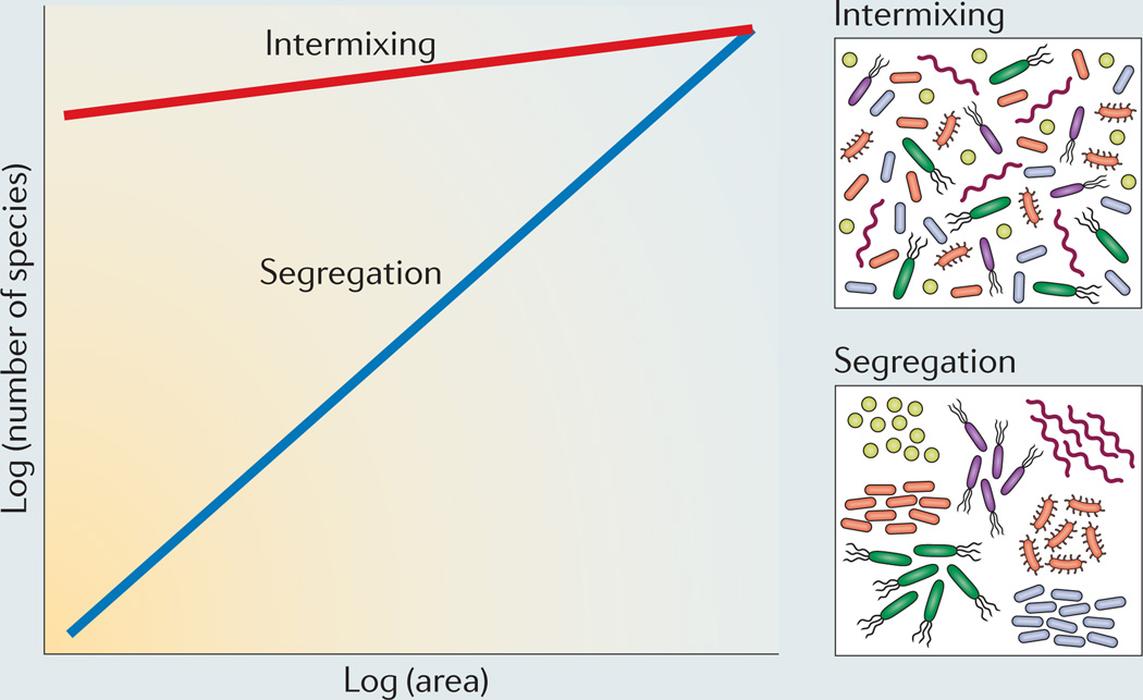 Box 3 | Reverse-engineering polymicrobial interactions from spatial structure