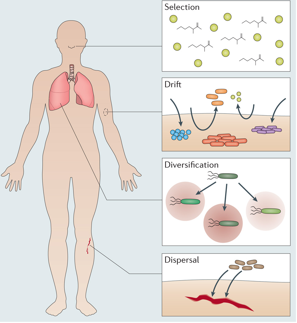 Box 1 | Forces regulating biogeography