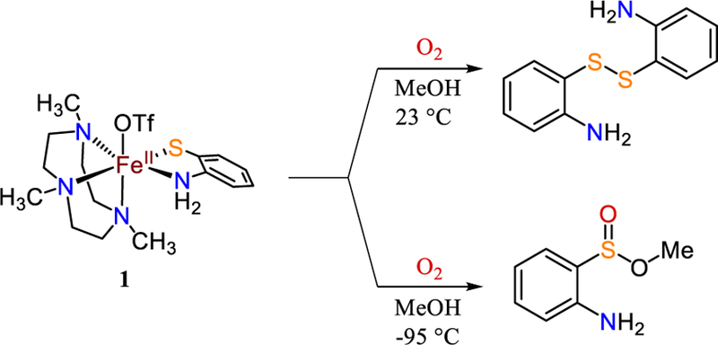 Scheme 3