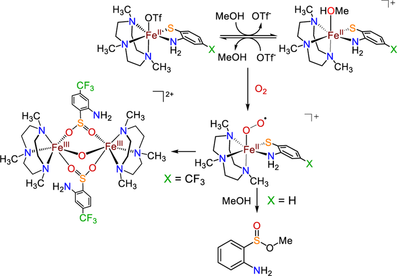 Scheme 5