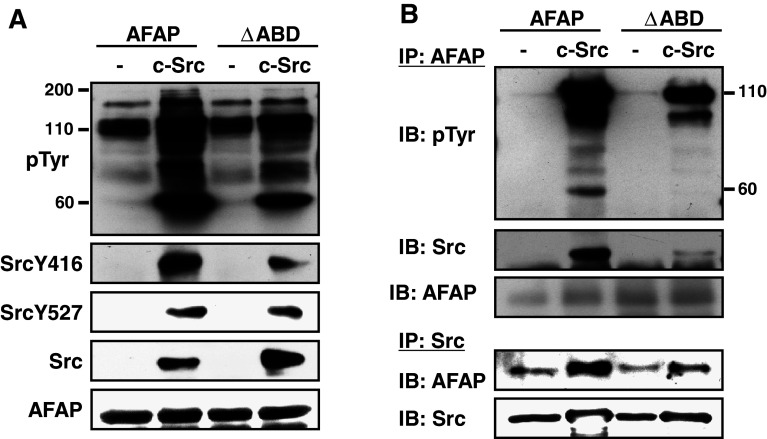 Fig. 6