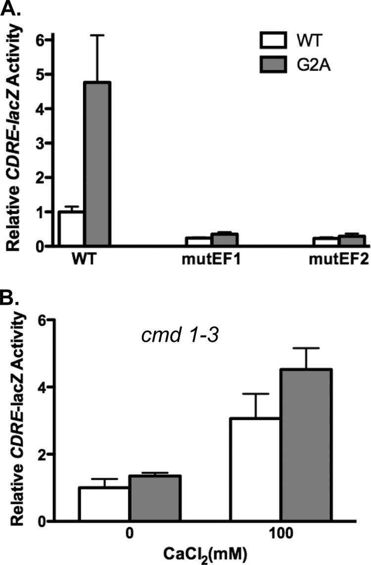 FIGURE 4.