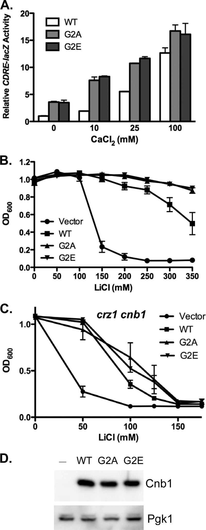 FIGURE 2.