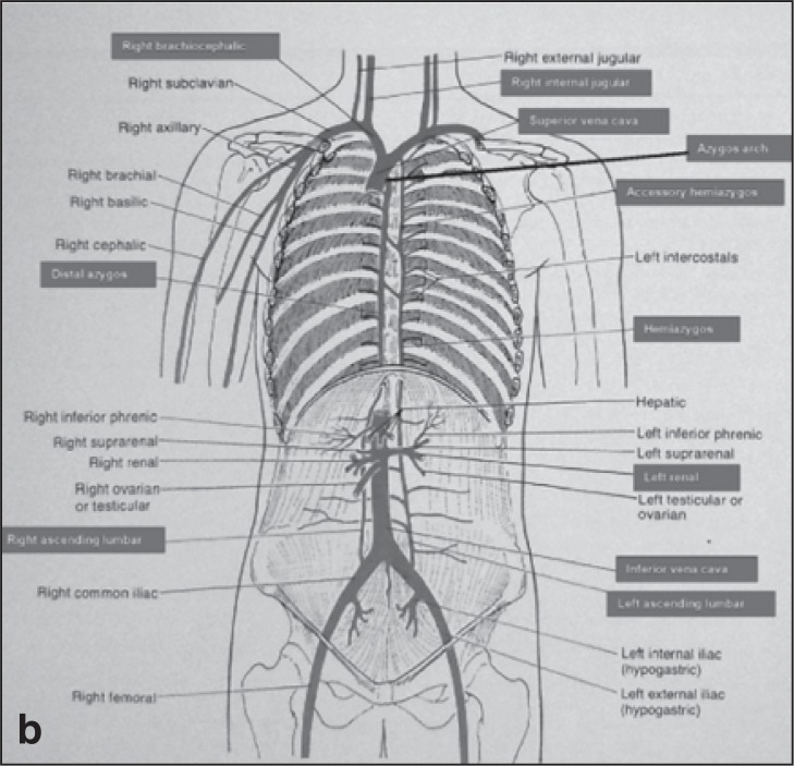 
Figures 1a and b
