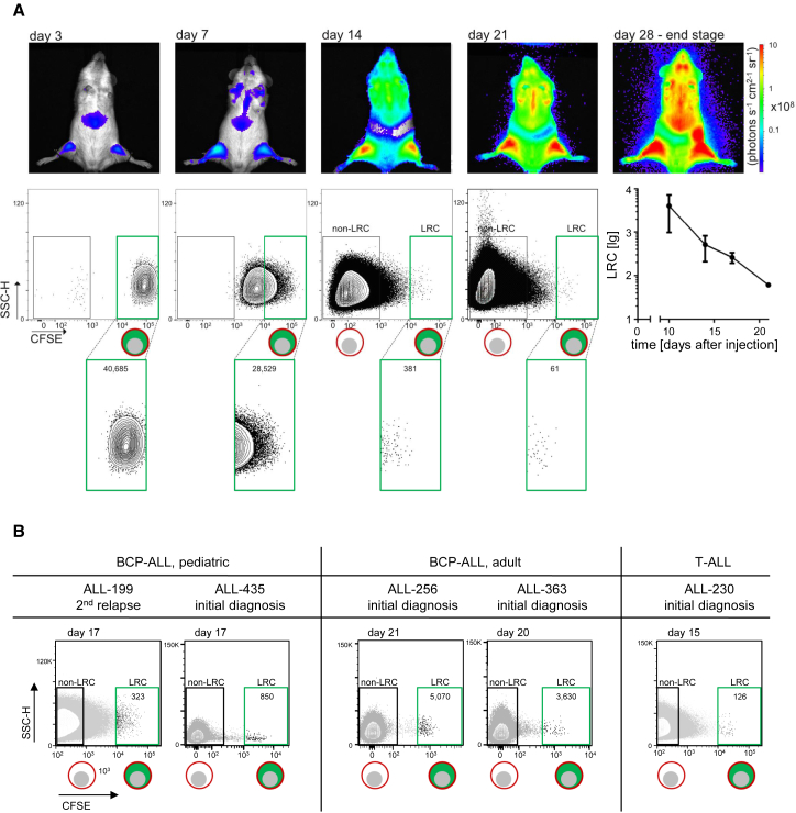 Figure 2