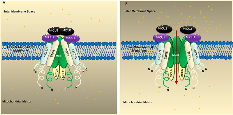 Figure 2: