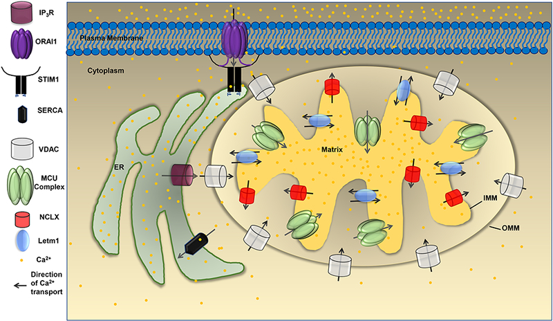 Figure 1: