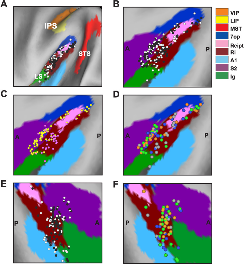 Figure 19