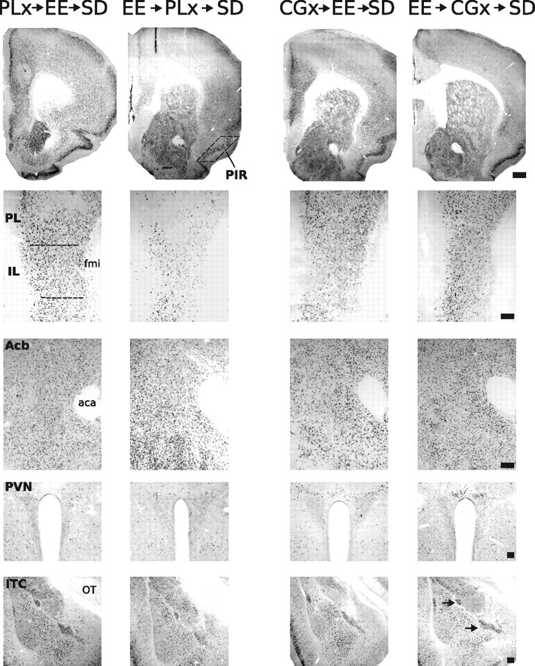 Figure 11.