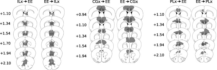 Figure 13.