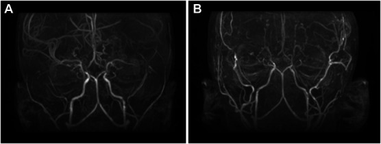 FIGURE 4.