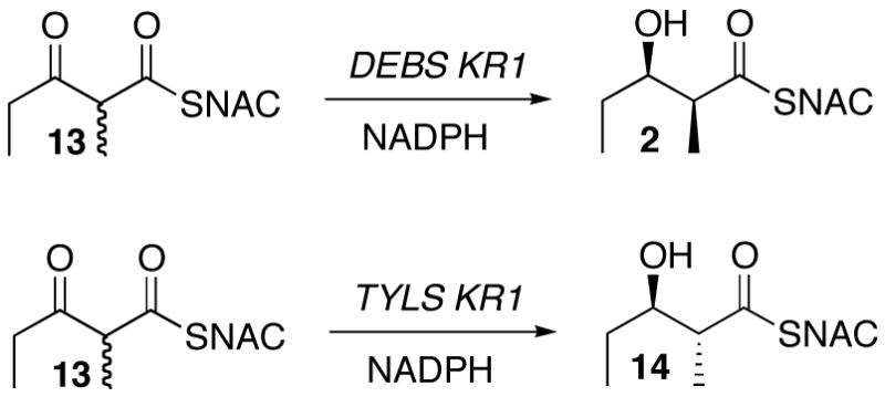 Scheme 7