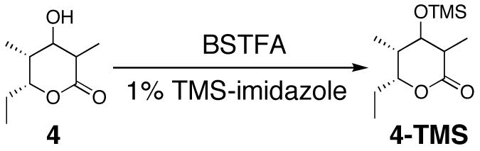 Scheme 5