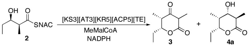 Scheme 6