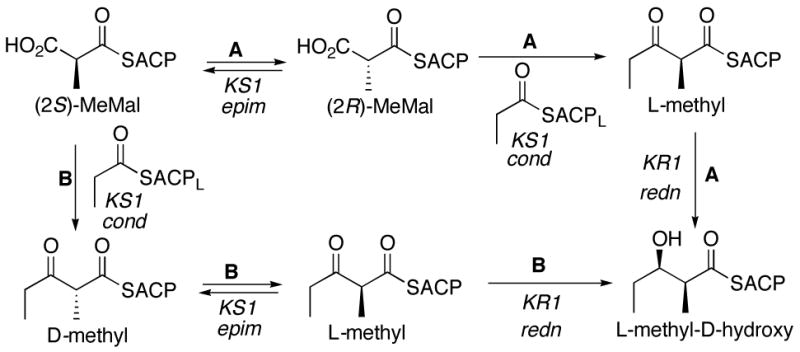 Scheme 1