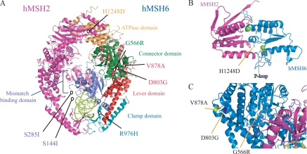 FIGURE 1.