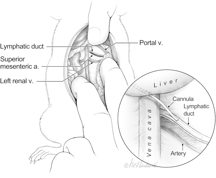 Fig. 2.