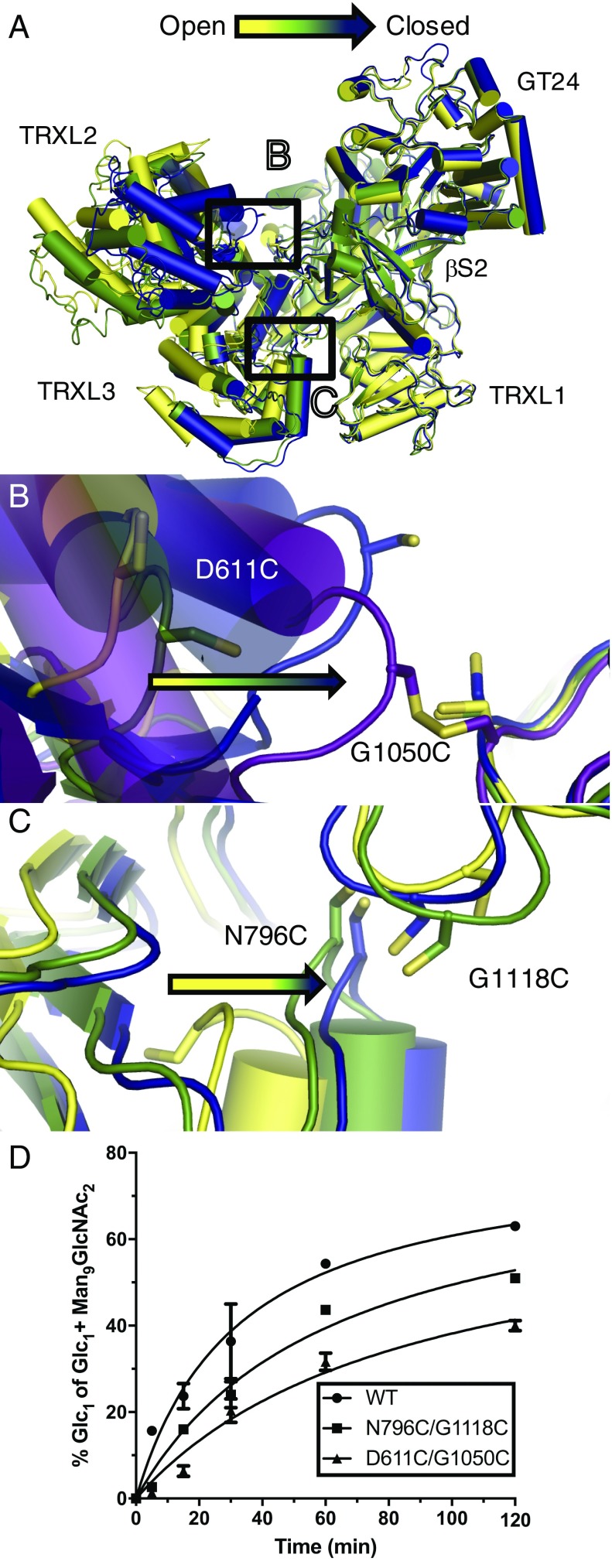 Fig. 4.