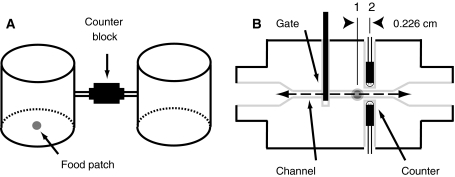 Fig. 1