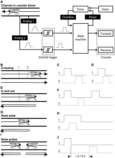 Fig. 2