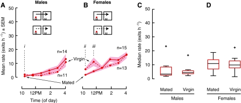 Fig. 6