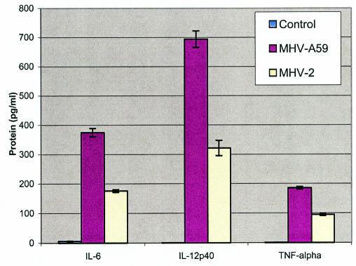 FIG. 5.