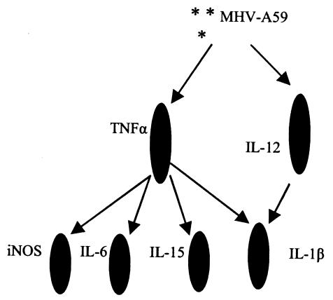 FIG. 7.