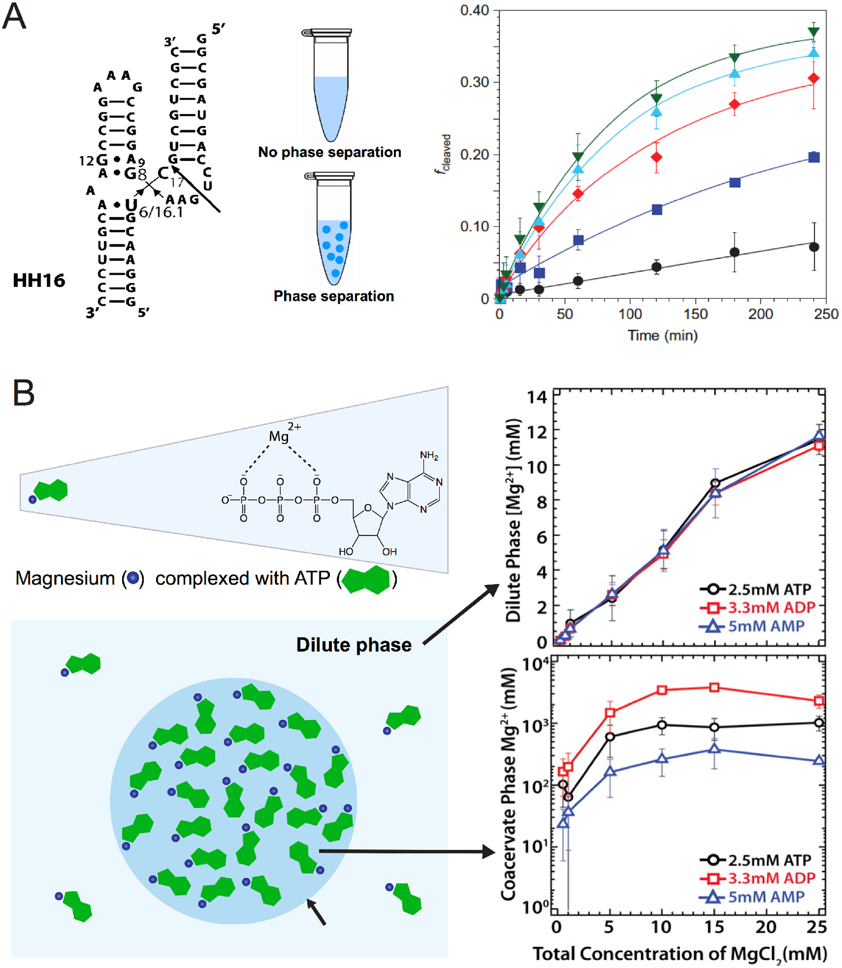 Figure 6: