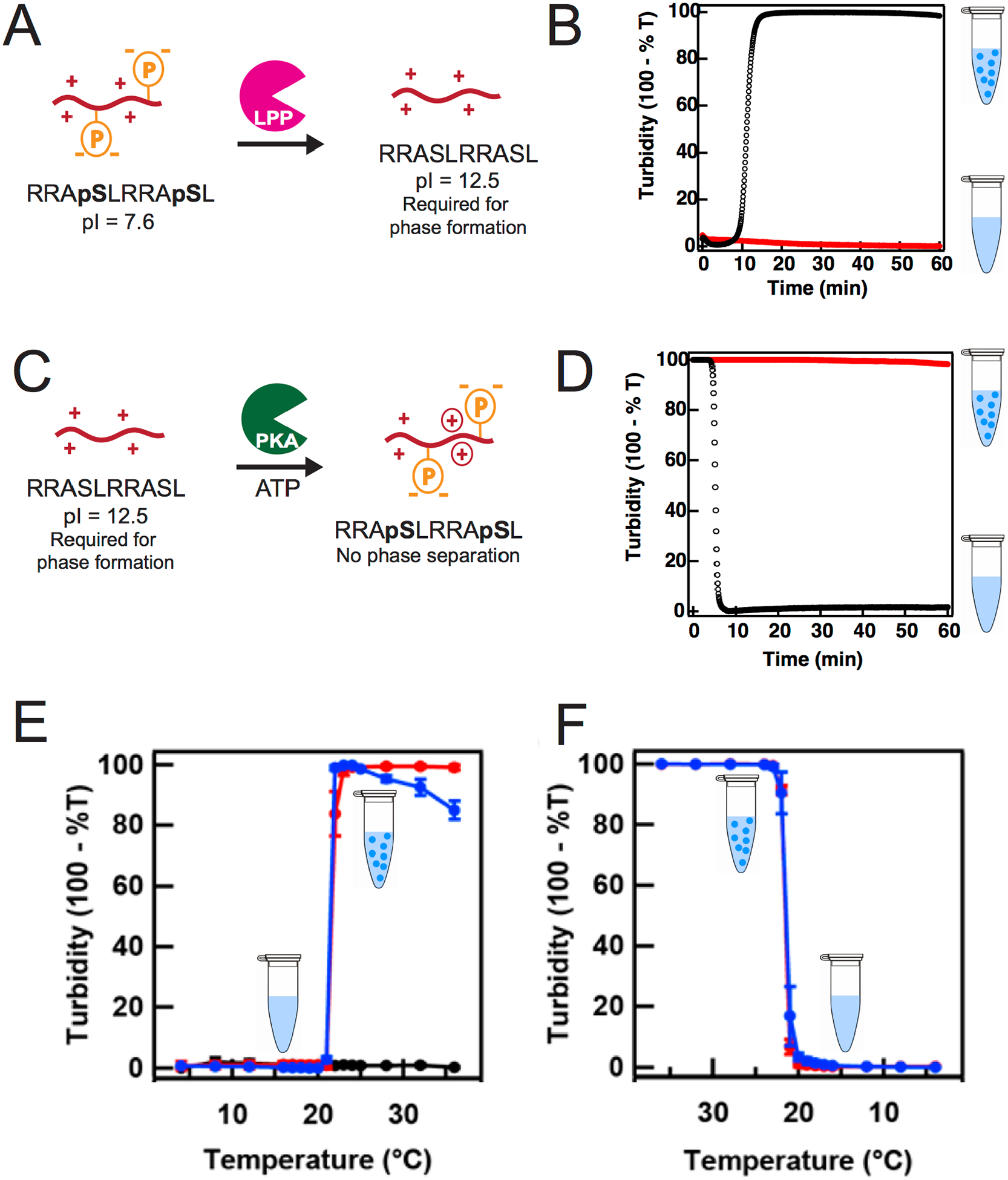 Figure 7: