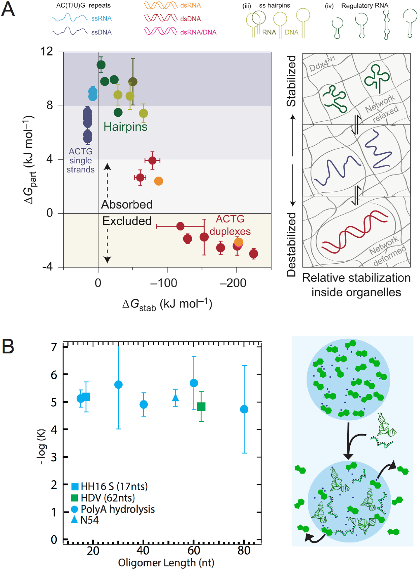 Figure 5: