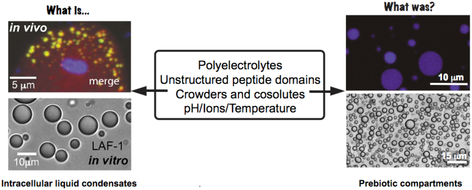 Figure 1: