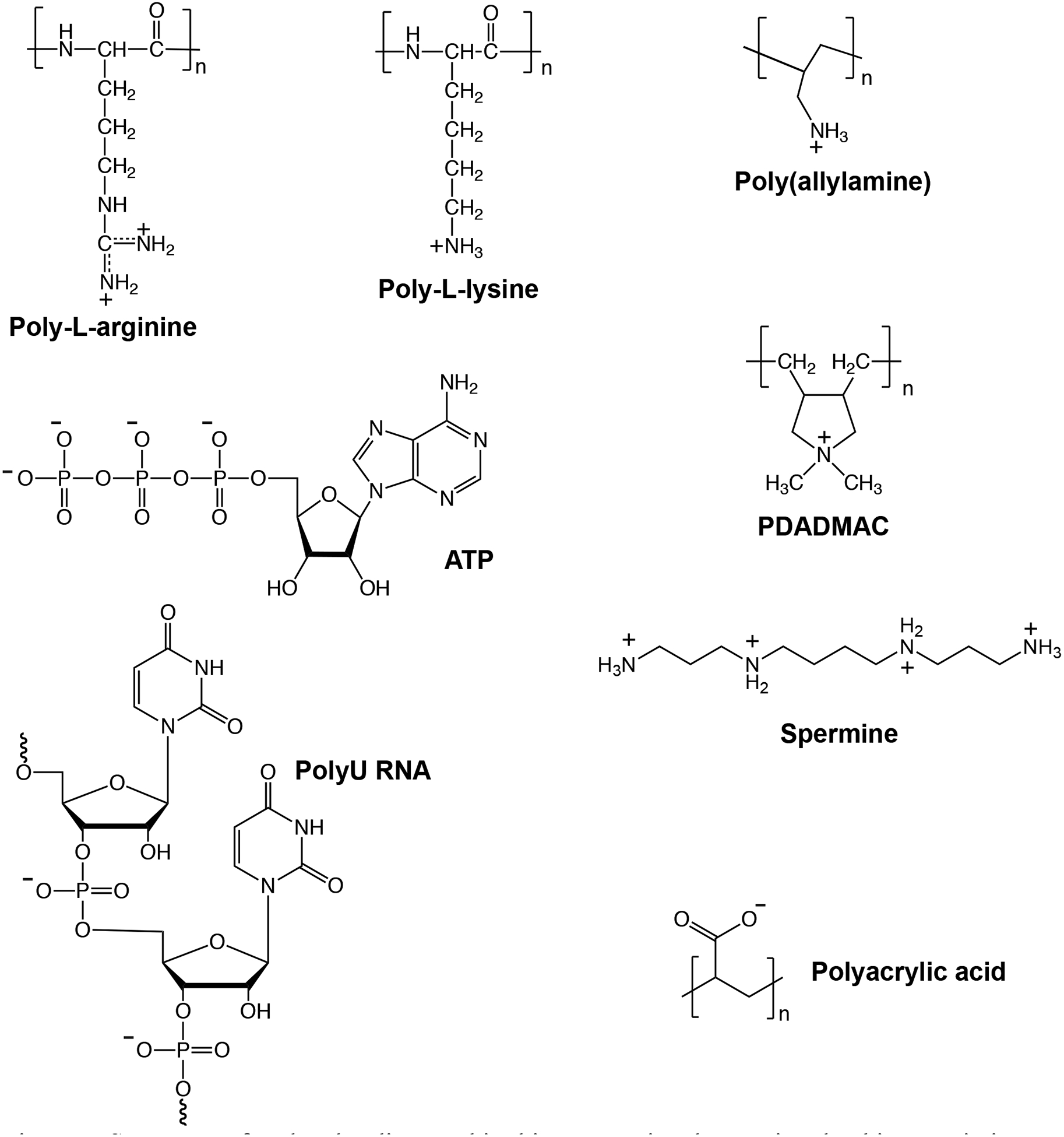 Figure 3: