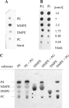 FIG. 4.