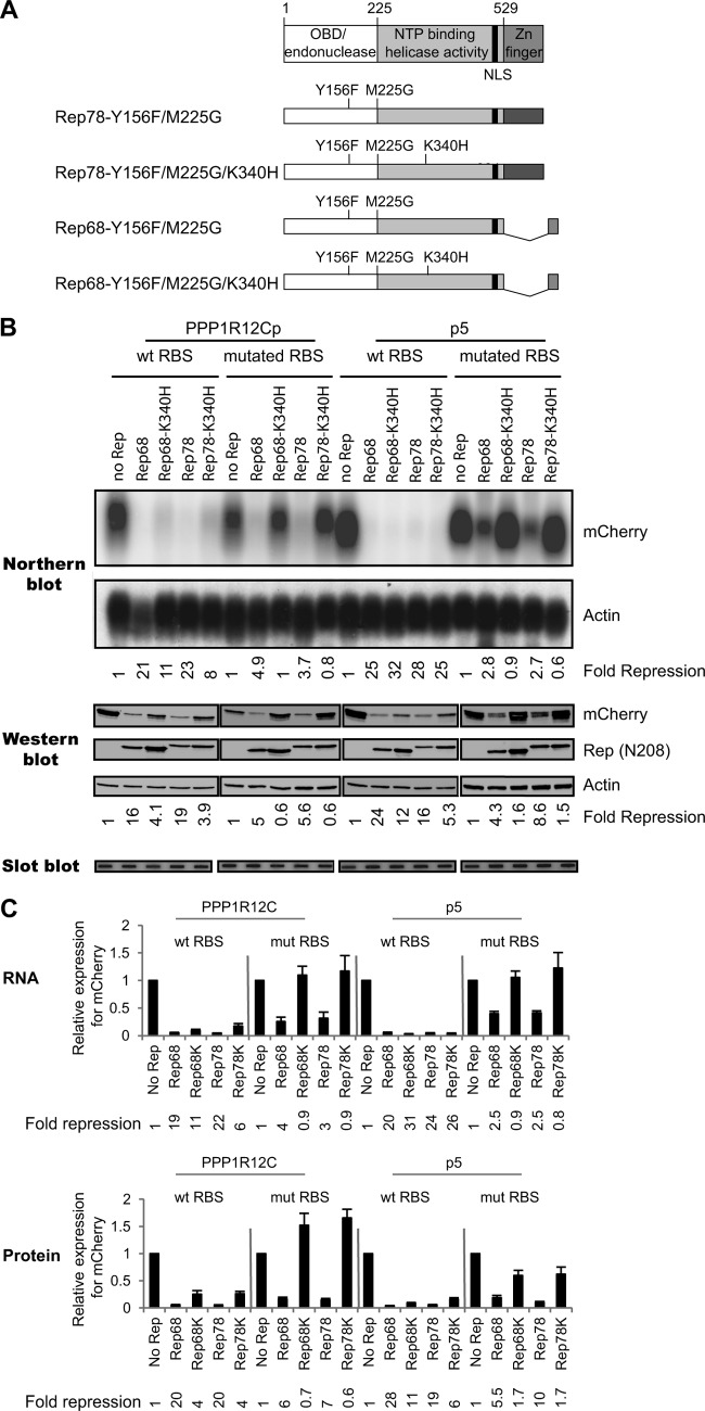 FIG 6