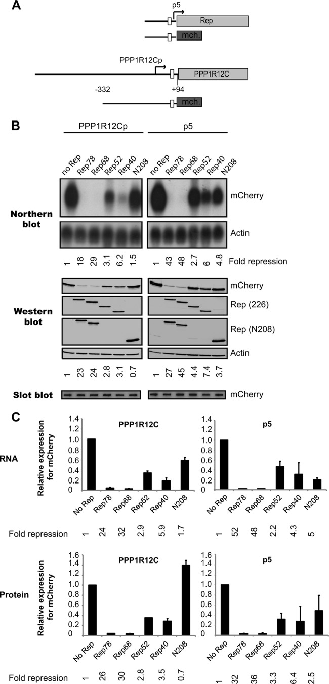 FIG 4