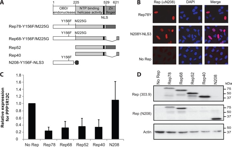 FIG 3